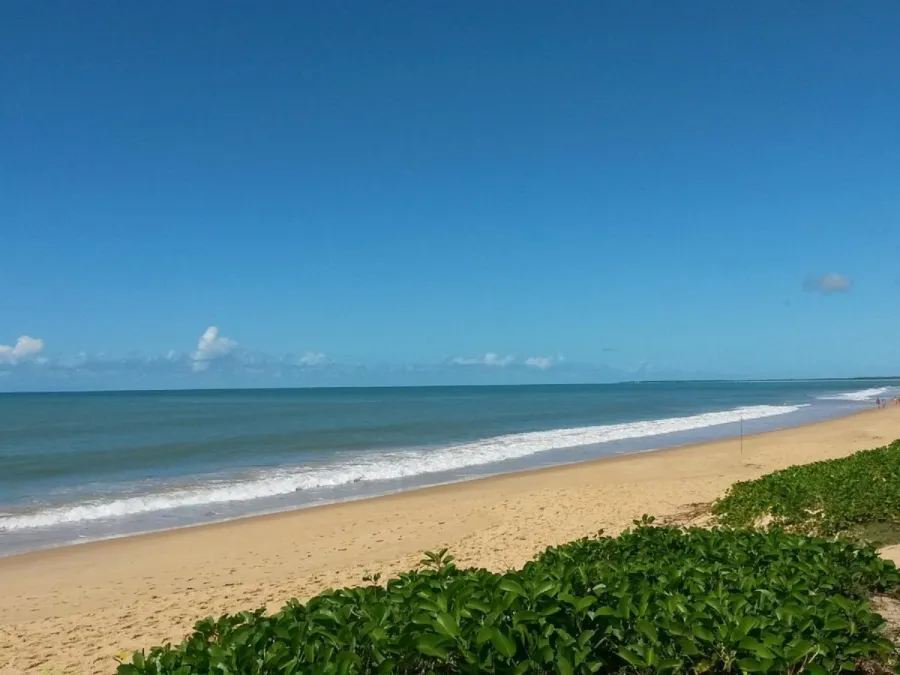 Imagem caraiva-bahia